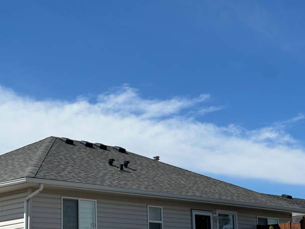 Best Rubber Roofing (EPDM, TPO)  in Carthage, TN